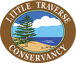 ltc logo