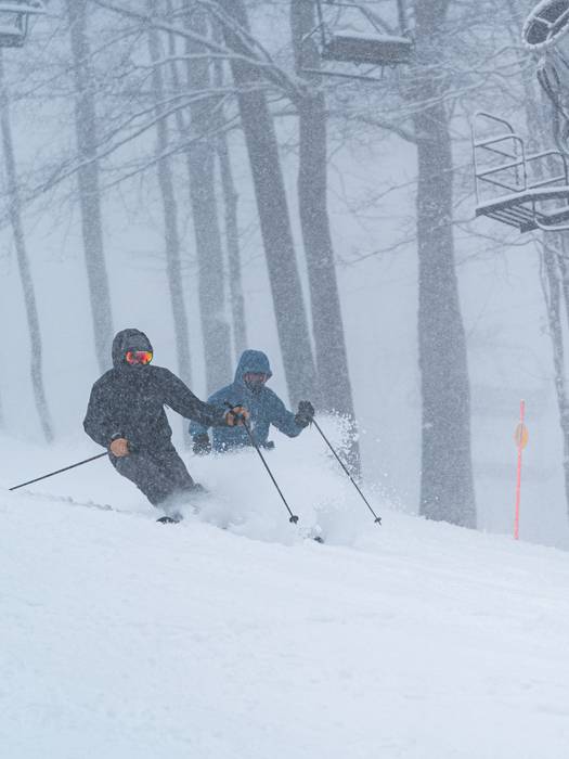 skiers in deep powder