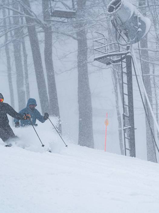 skiers in deep powder