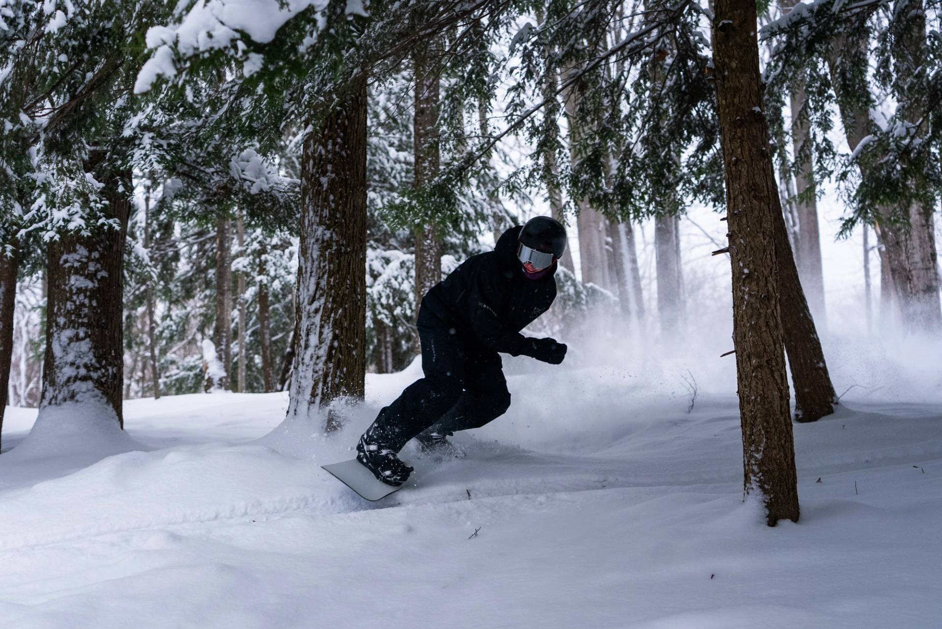 Snowboarder riding through a gladed run at Boyne Mountain