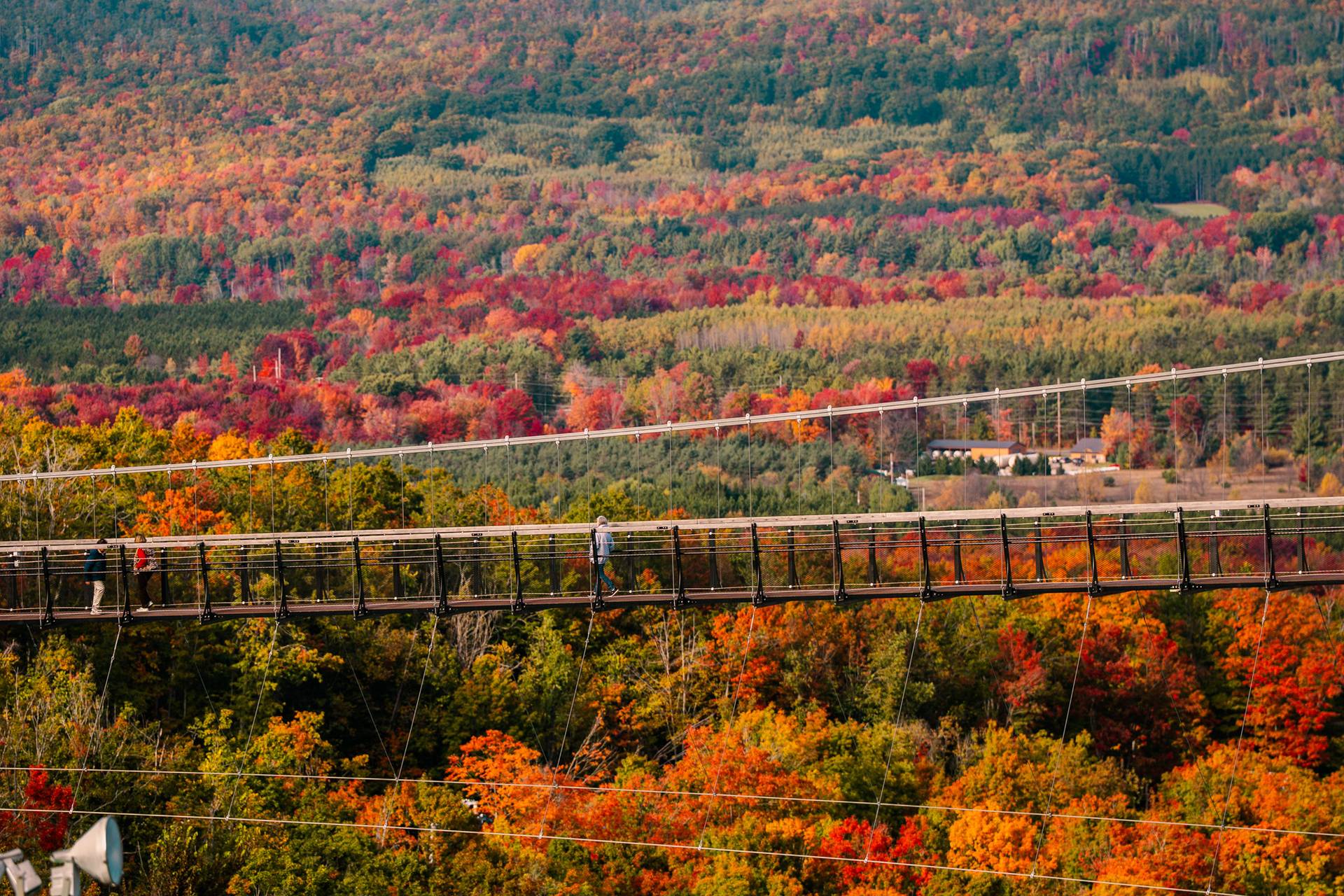 peak fall colors at skybridge michigan
