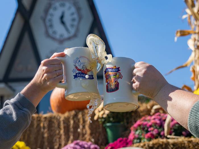 Stein toast