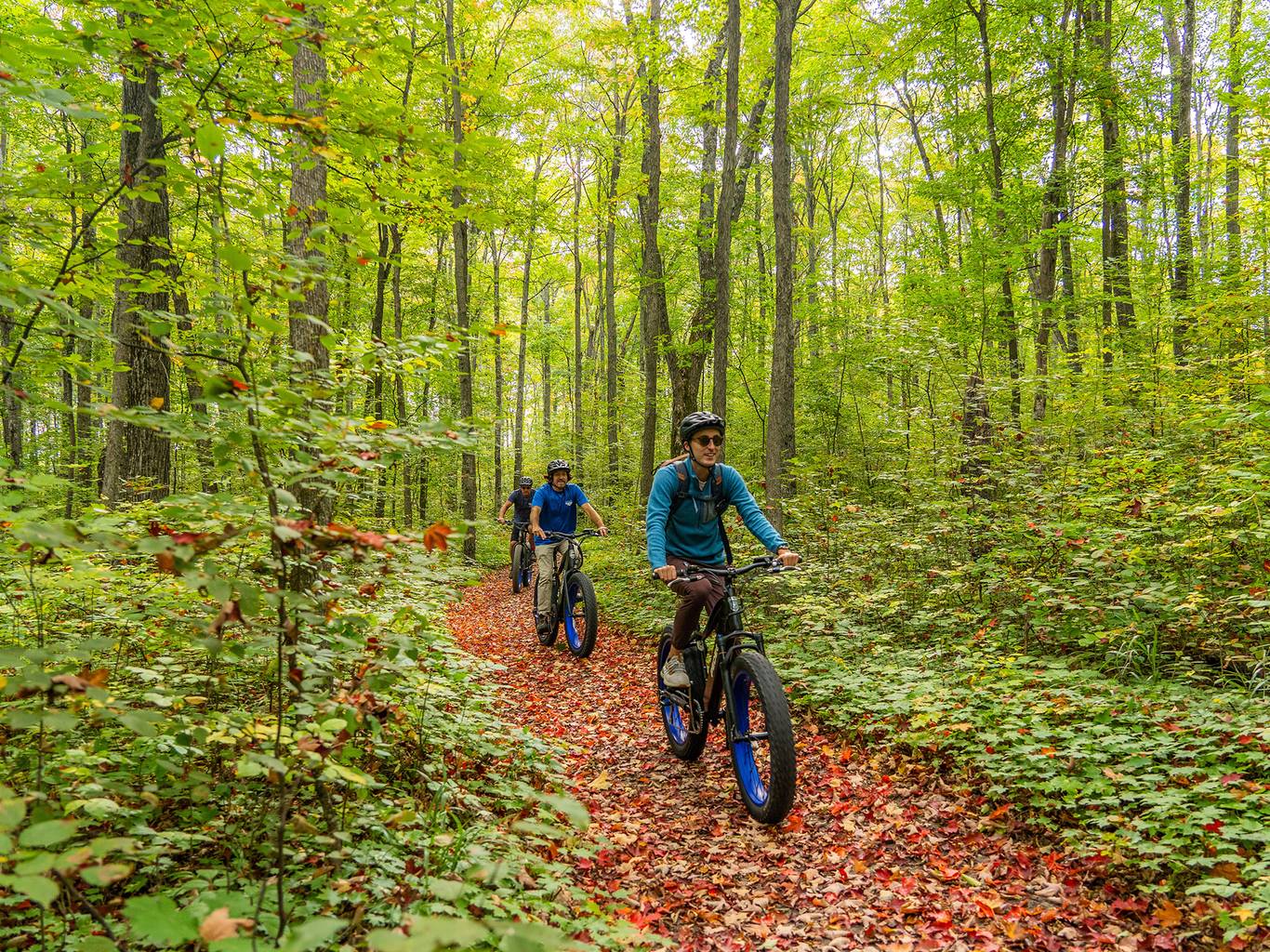 Three people on fat tire bikes