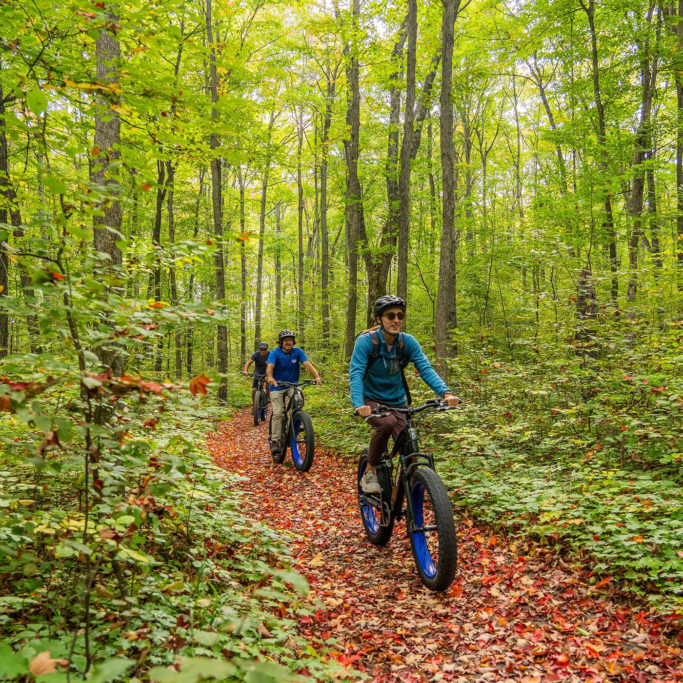 Three people on fat tire bikes riding on the trail