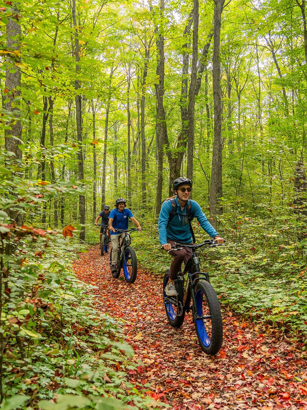 ebike tour