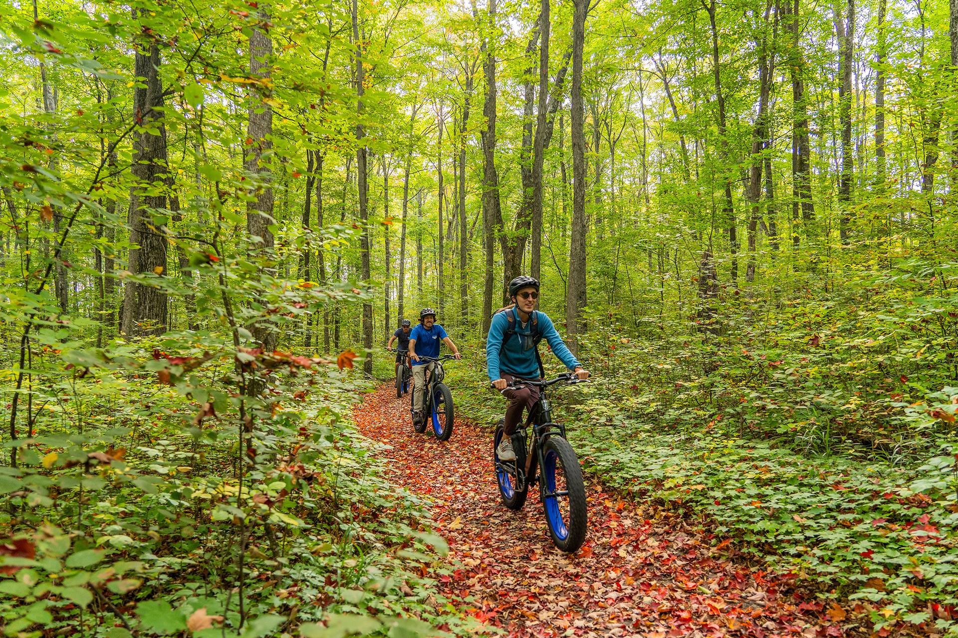 e-bike-tour