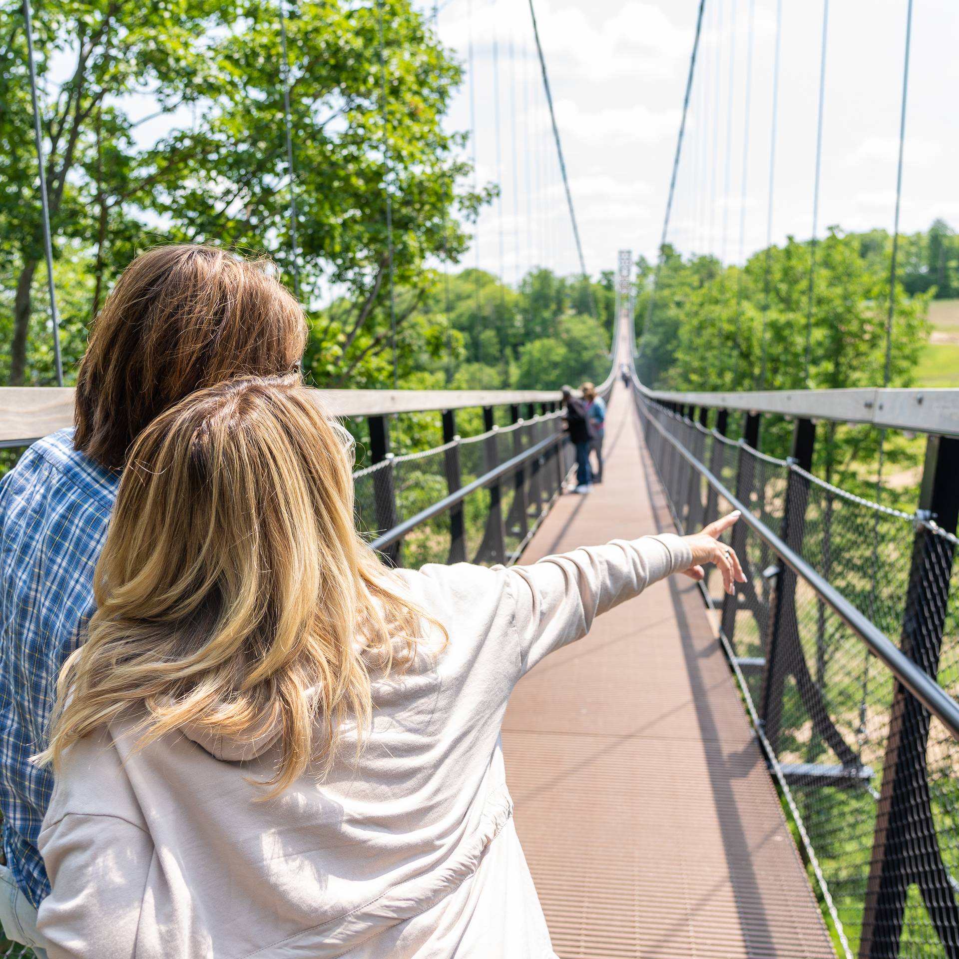 two friends on skybridge michigan