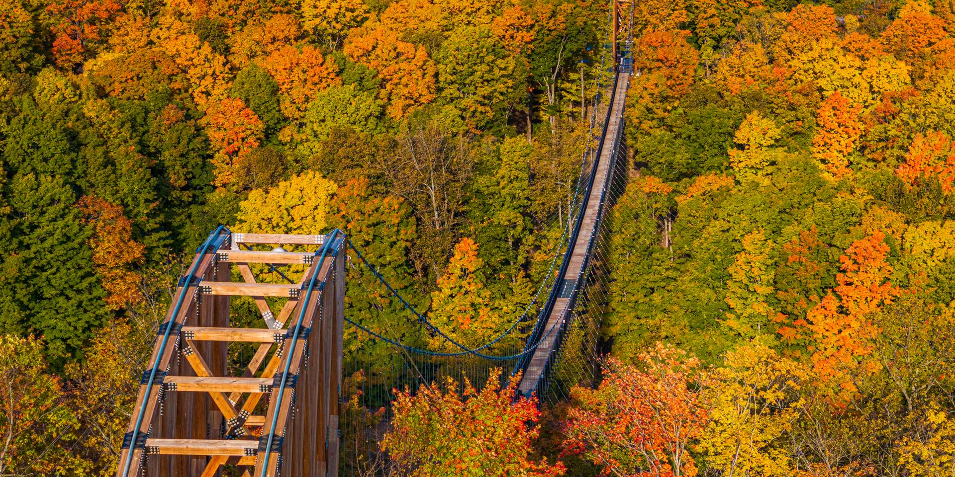 Fall leaves at SkyBridge Michigan