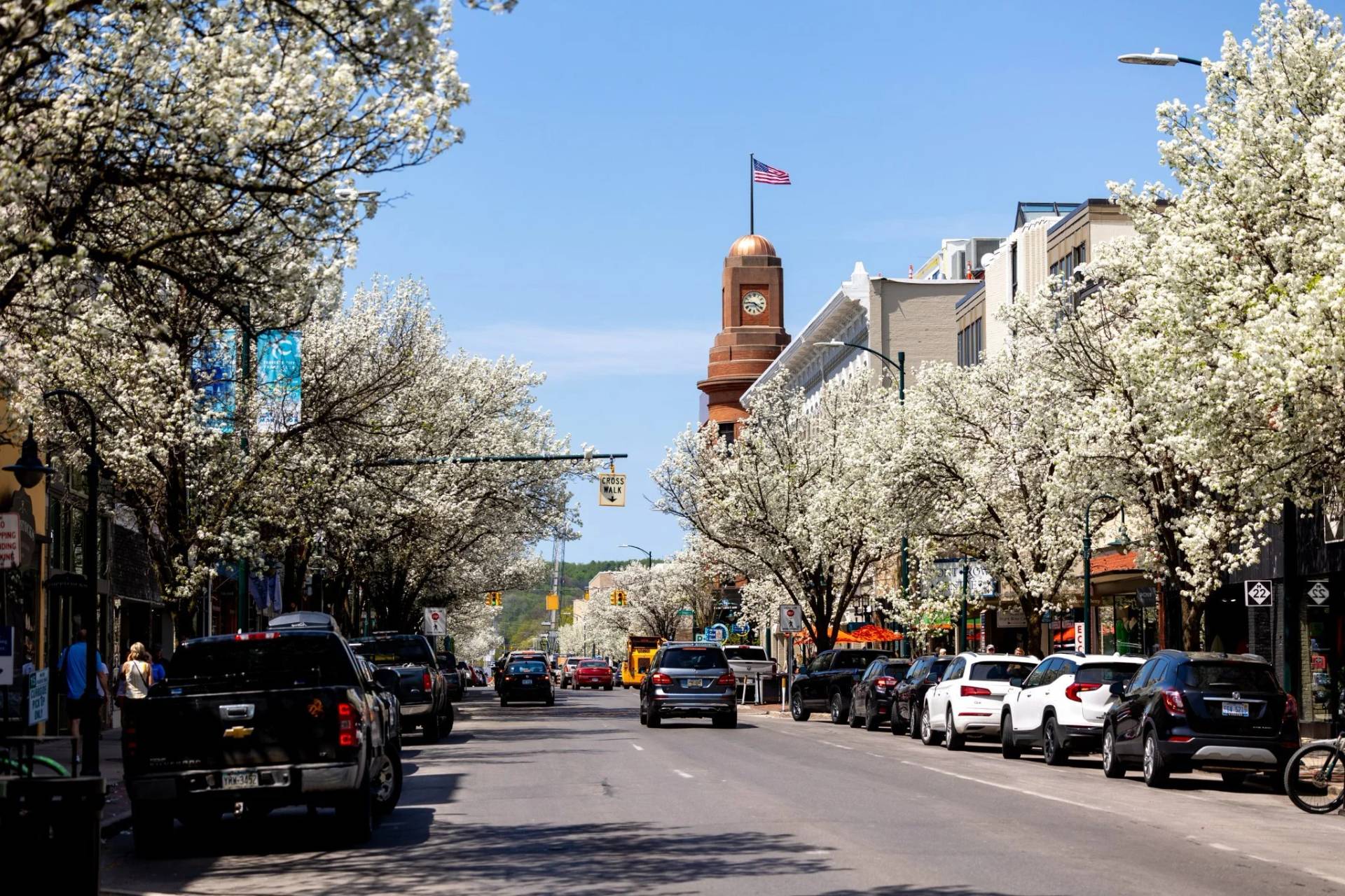 downtown traverse city