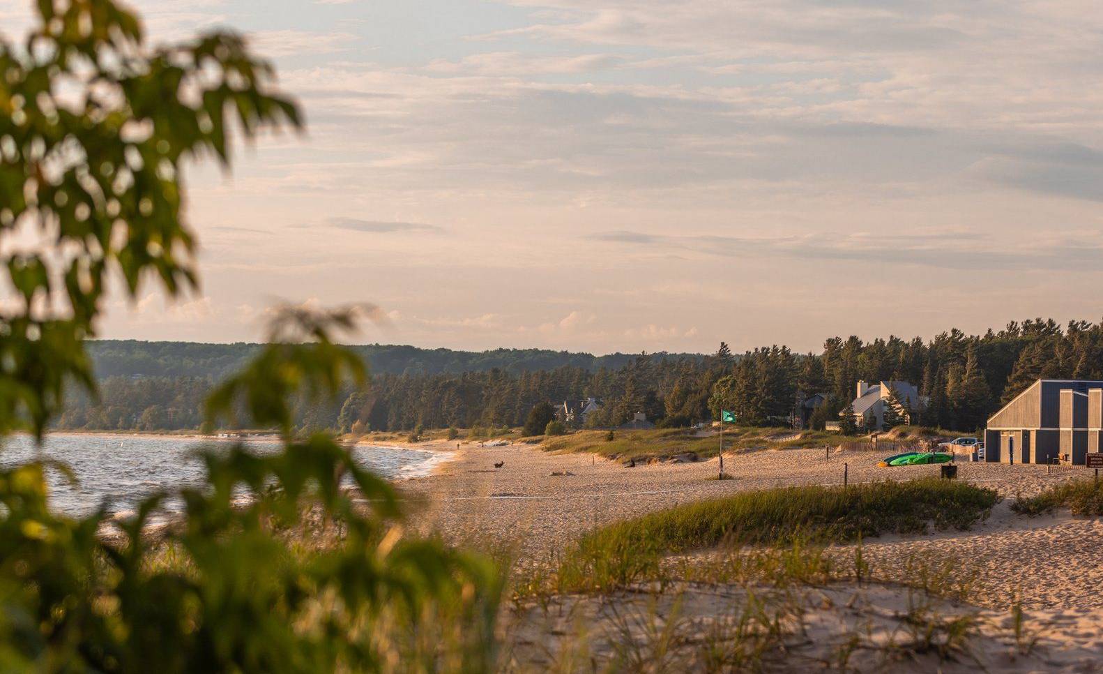 Sandy beach with trees and grass.