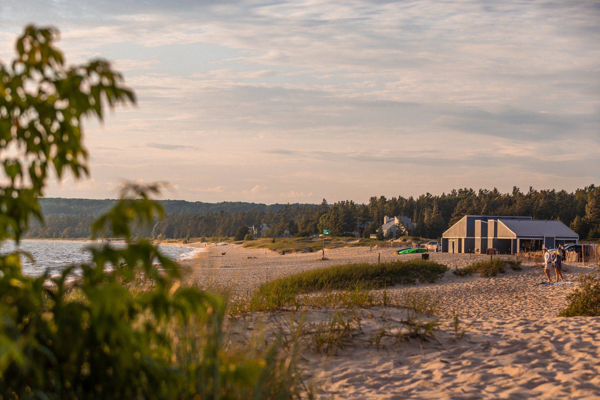 Sandy beach with trees and grass.