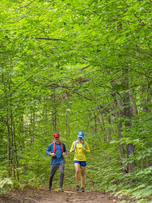 Couple hiking on trail in the summer