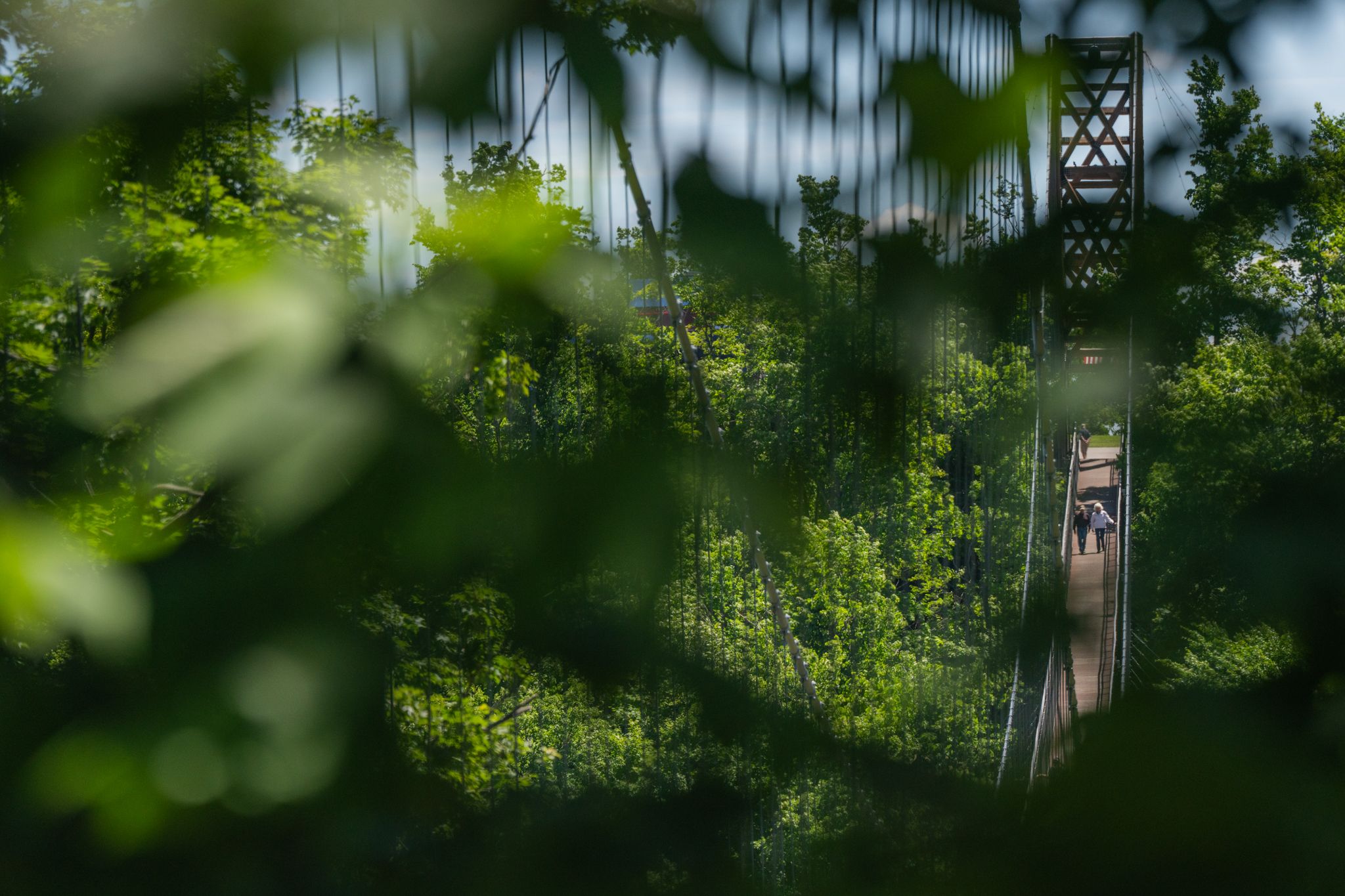 SkyBridge Michigan in the summer