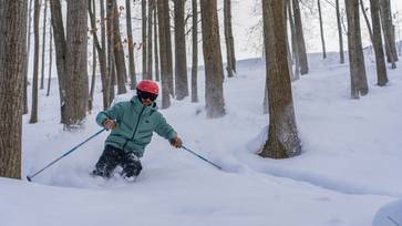 Skier riding glades on a powder day