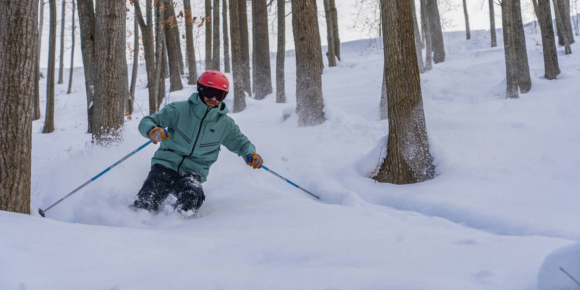 skier slashing pow in the glades