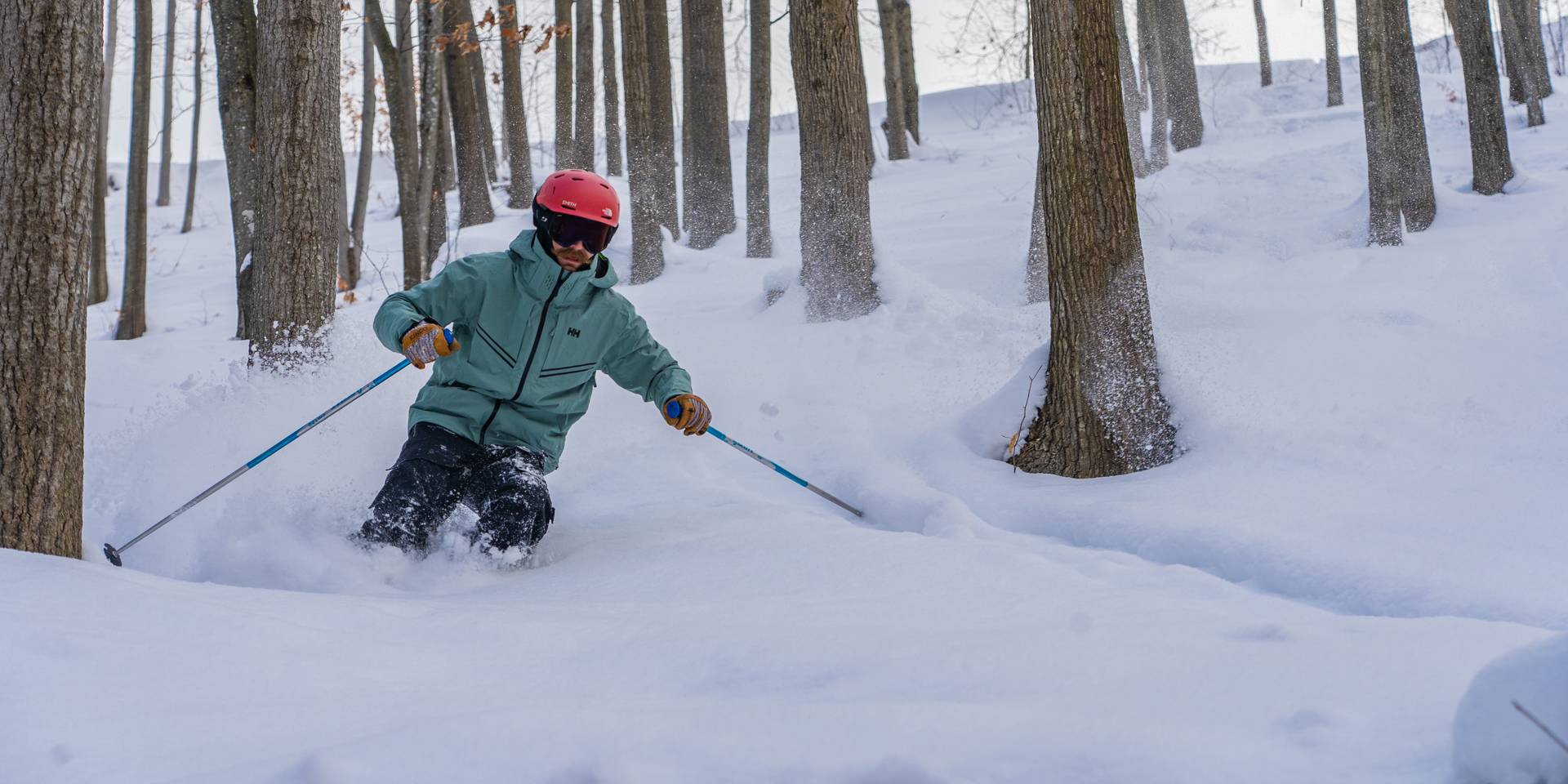 skier slashing pow in the glades