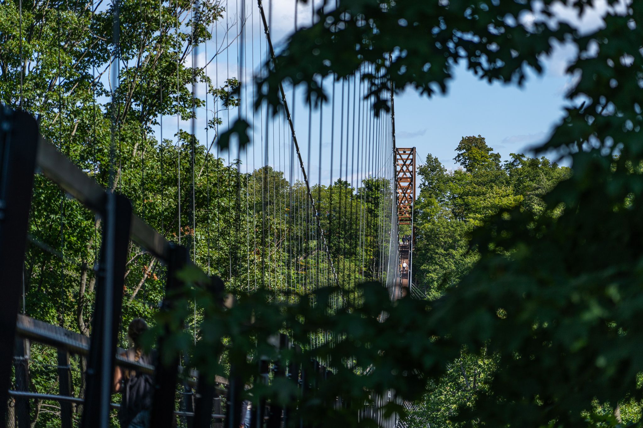 SkyBridge Michigan in the summer