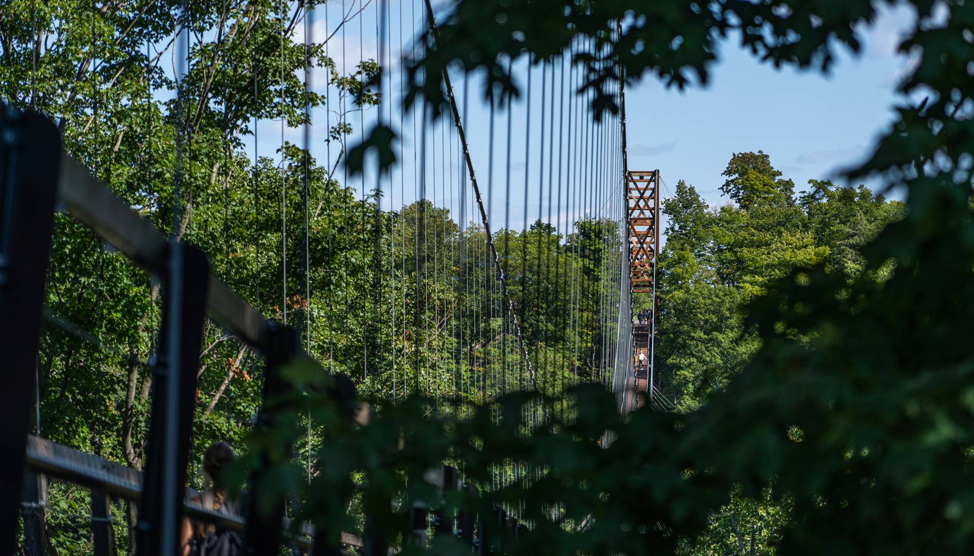 SkyBridge Michigan in the summer