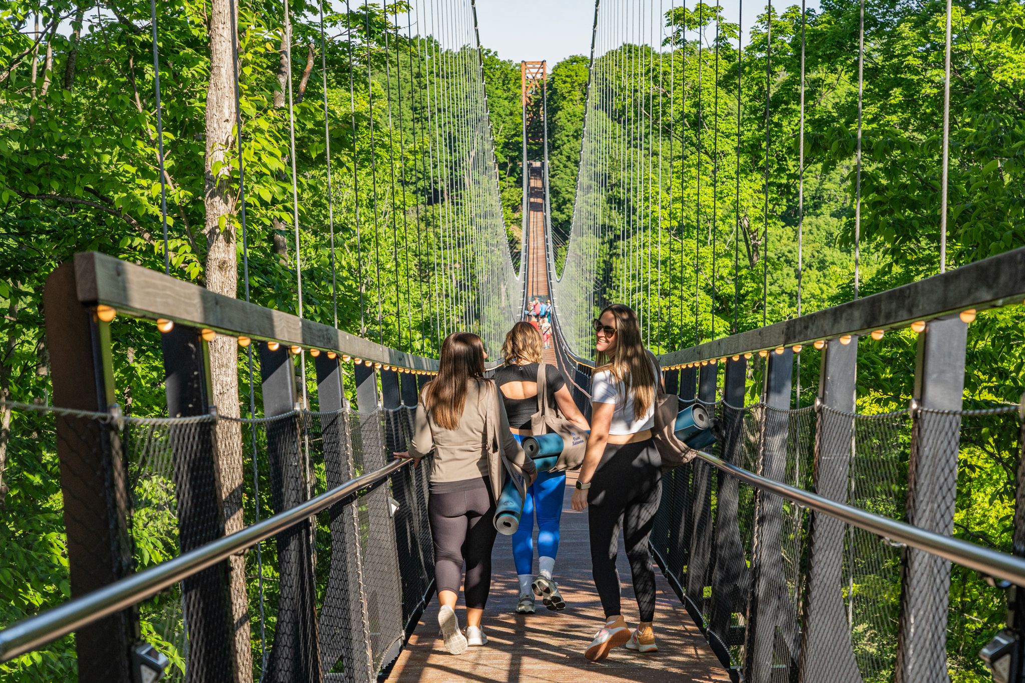 skybridge in spring