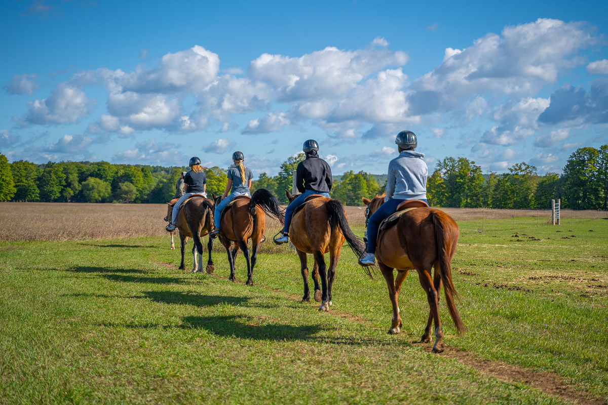 Summer Horseback Riding | Summer Activity | Boyne Mountain