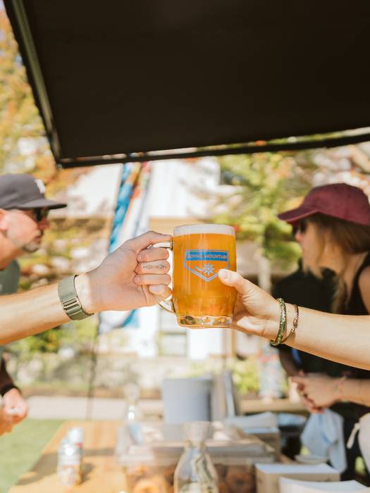 stein filled with beer