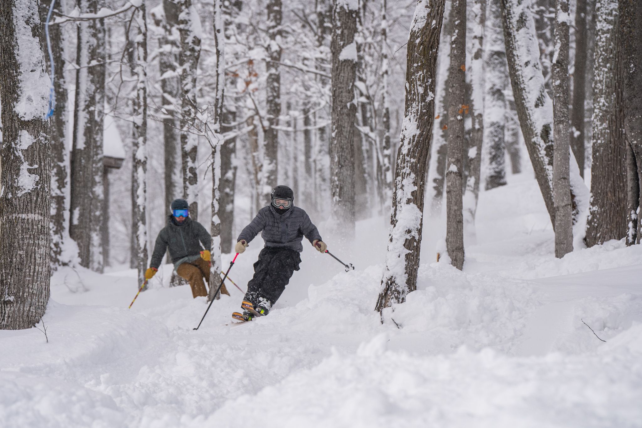 skeirs riding glades