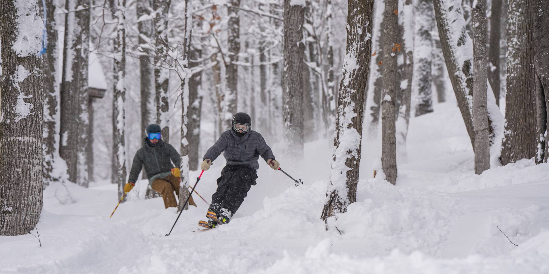 Guys skiing through the powder in the woods