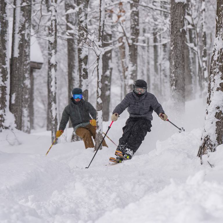 skeirs riding glades