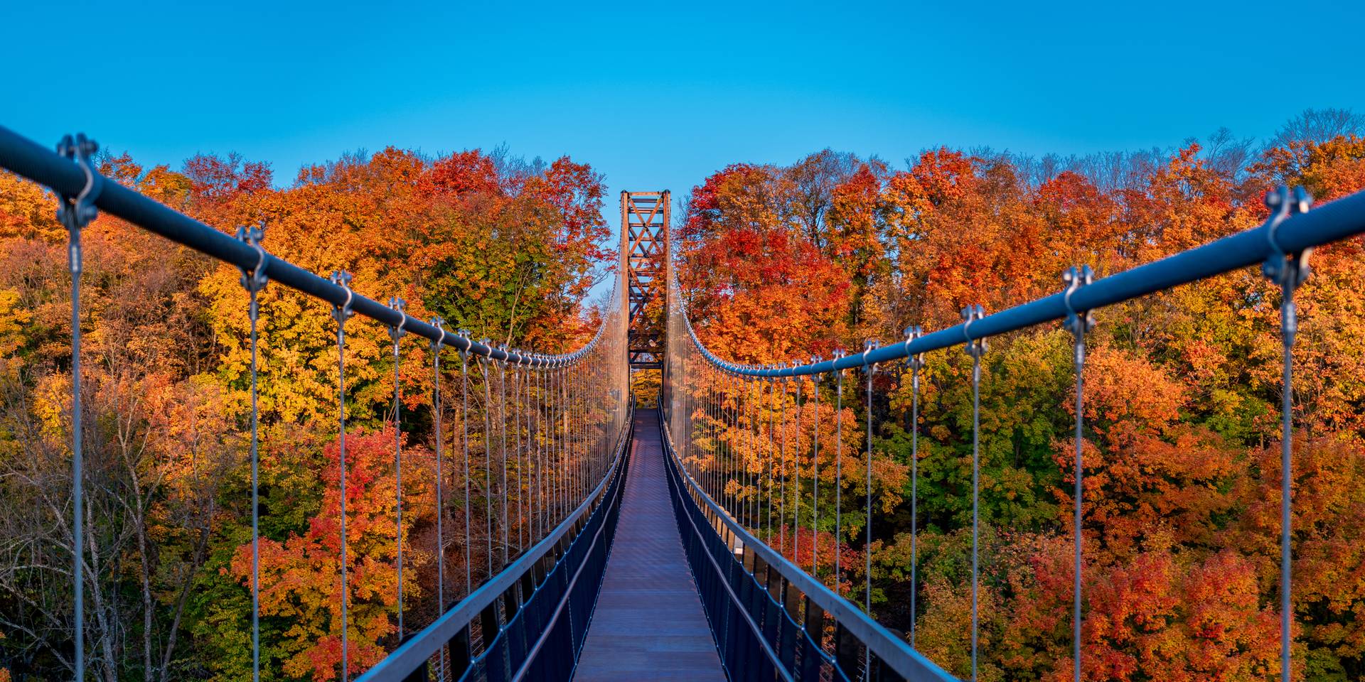 SkyBridge Michigan in Fall