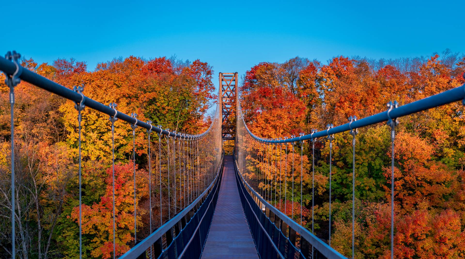 SkyBridge Michigan with beautiful fall colors