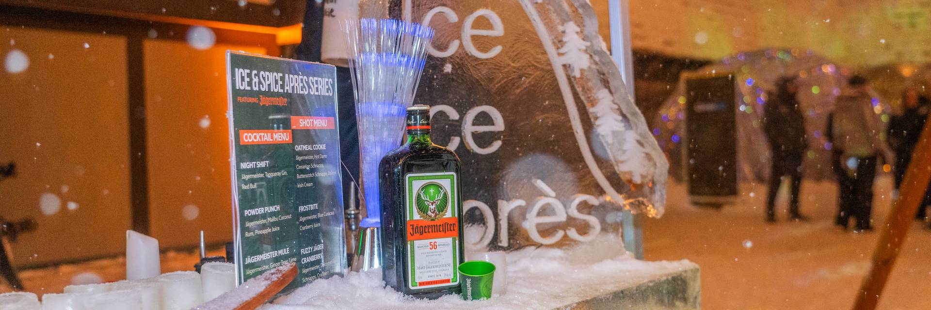 Ice bar and Ice Luge in the Back Forty