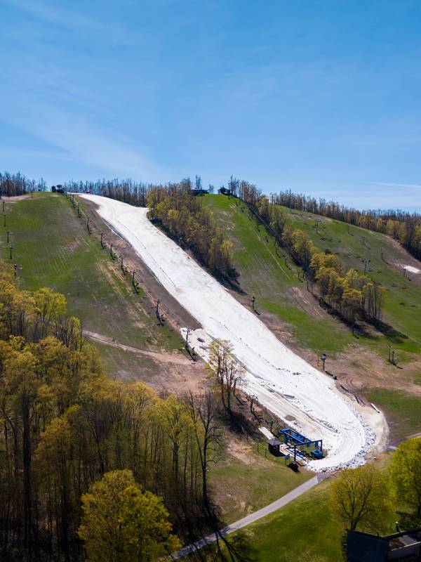 Drone shot of Victor Glacier with blue skies and green trees