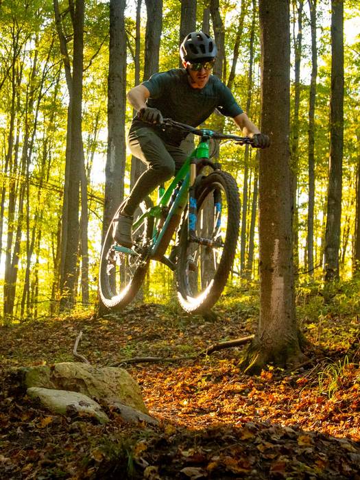 Boyne Forest