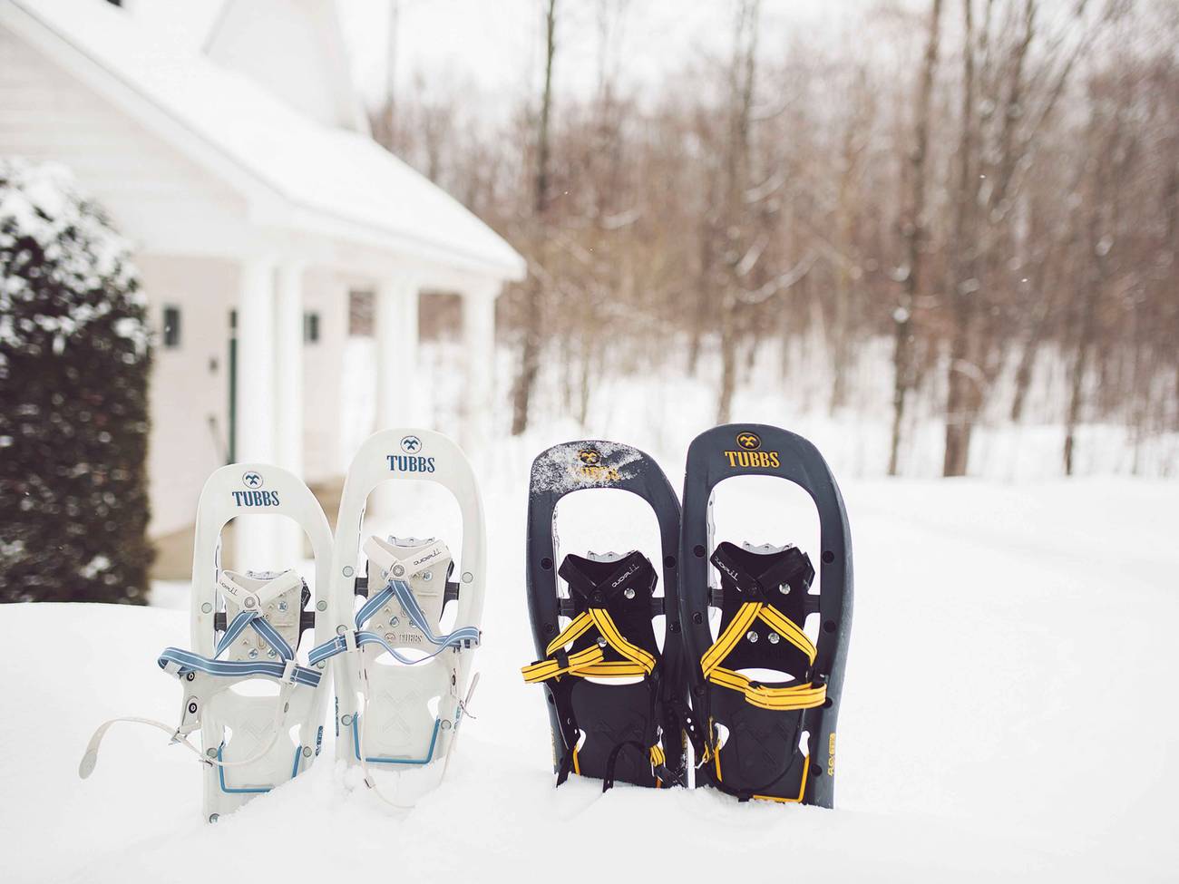 Snowshoe