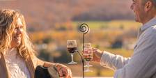 Couple enjoys wine flight, Petoskey Farms winery