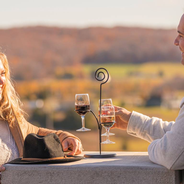 Couple enjoys wine flight, Petoskey Farms winery