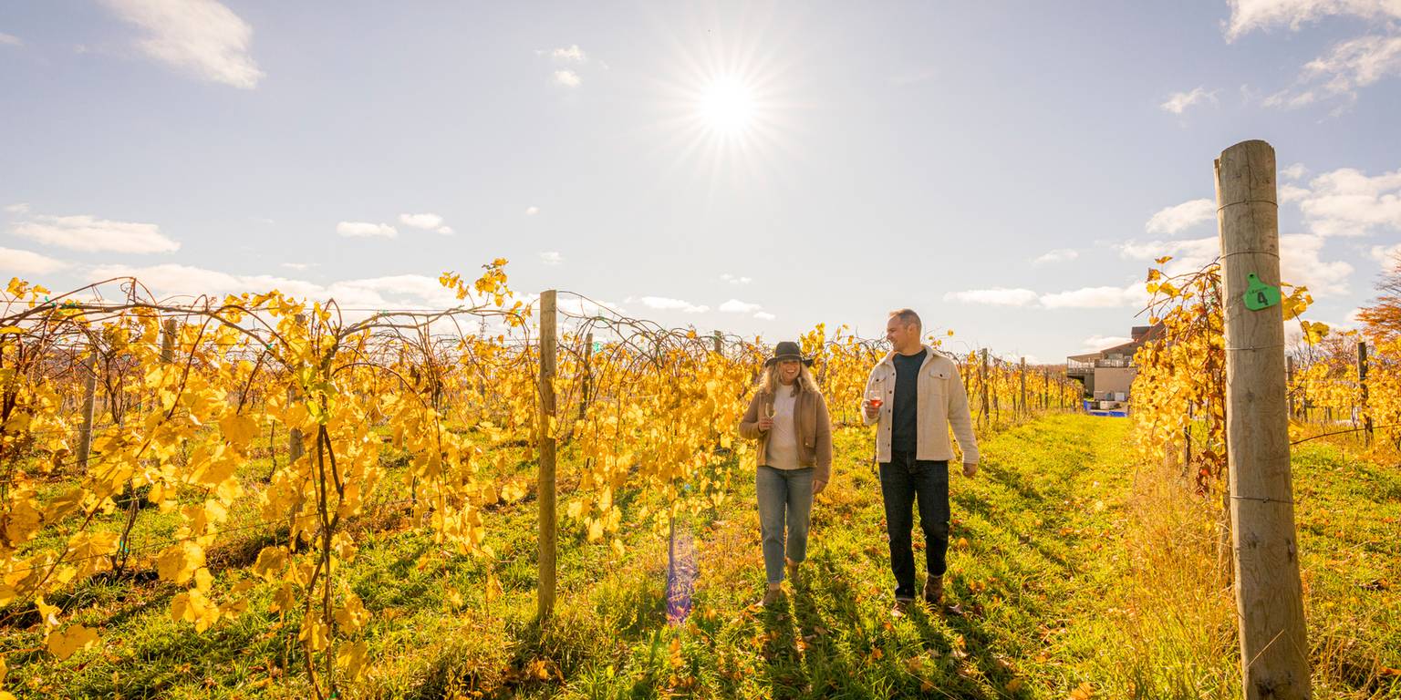 Smiling couple walking in yellow autumn vineyard of Michigan winery