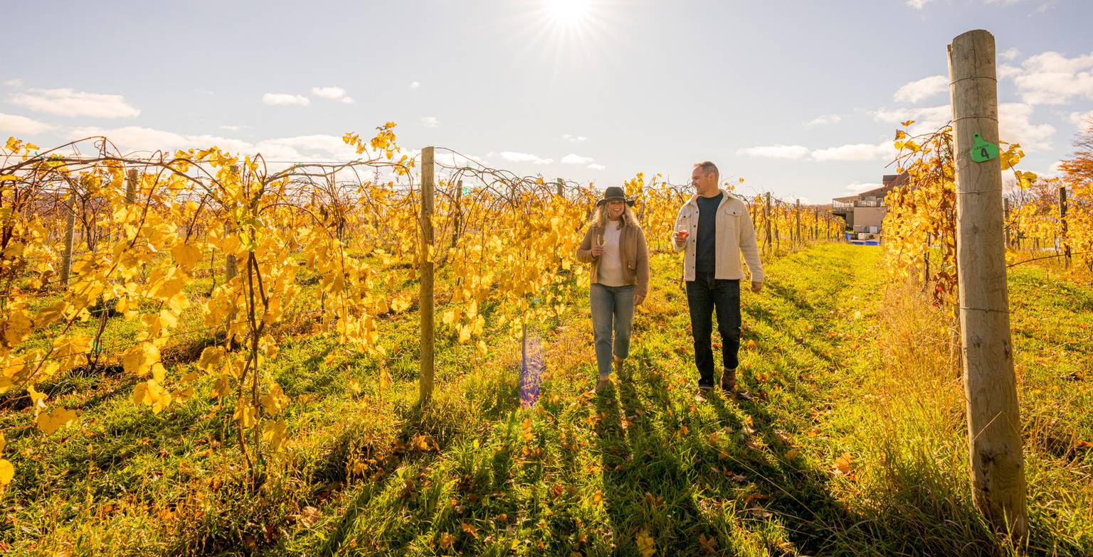 Smiling couple walking in yellow autumn vineyard of Michigan winery
