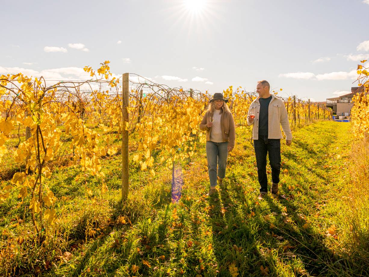 Smiling couple walking in yellow autumn vineyard of Michigan winery