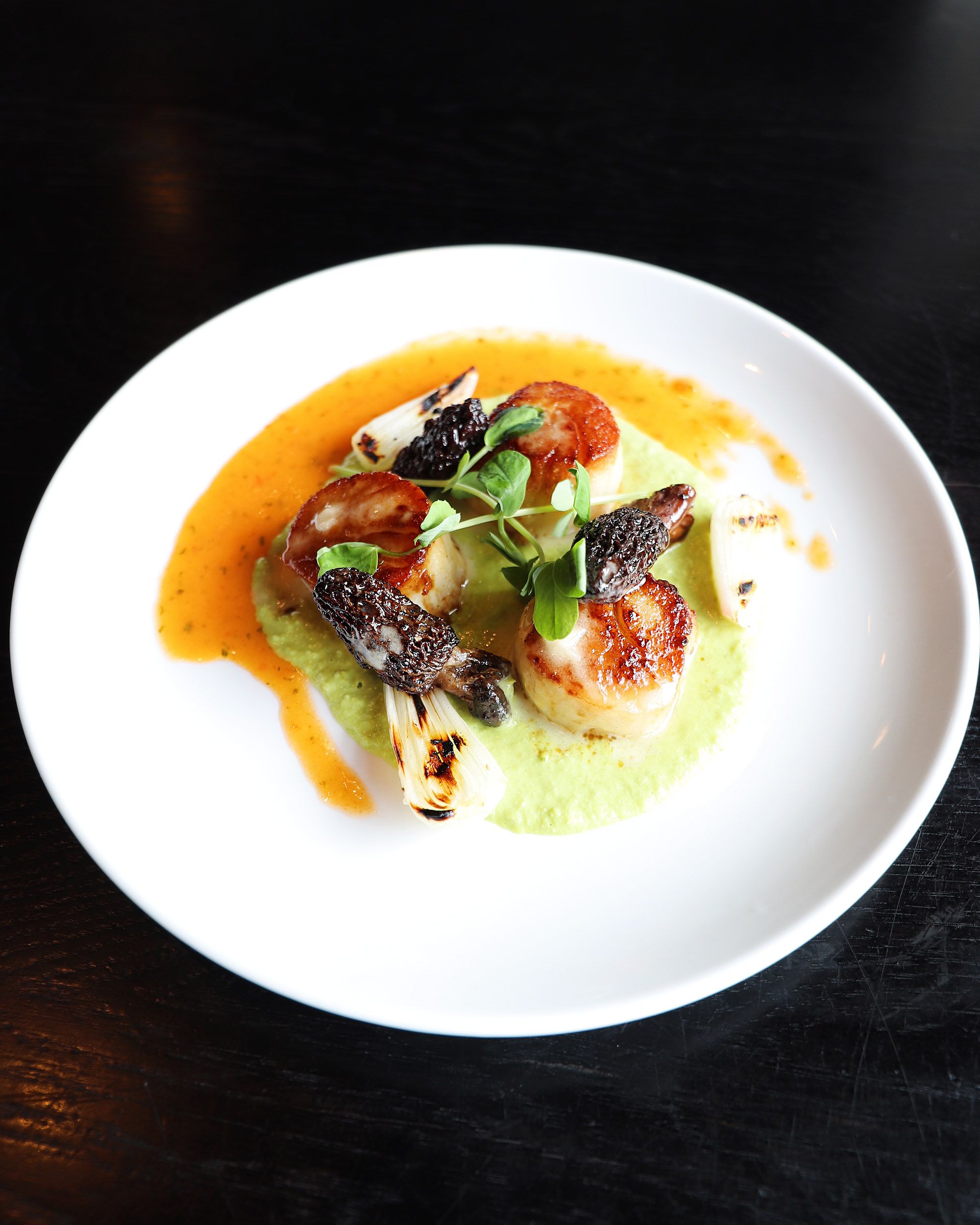 Scallops, morel mushrooms, spring feature dish detail