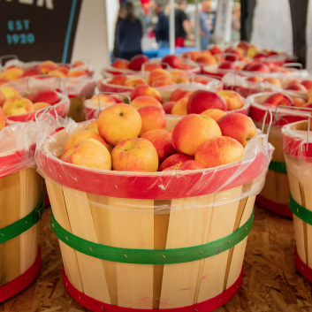 Red and yellow apples in wooden buckets for Charlevoix Apple Fest