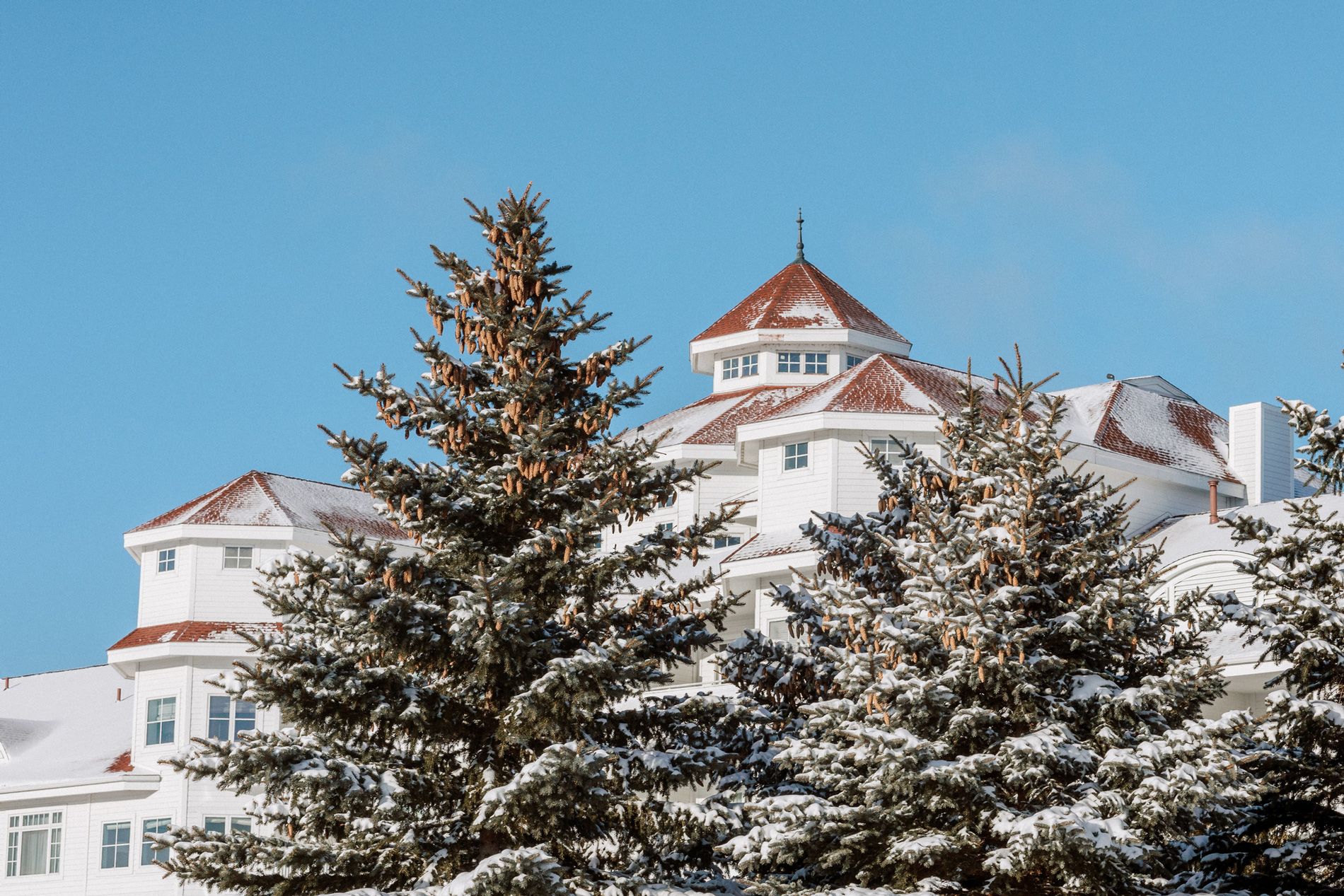 Snowy pines in front of Inn at Bay Harbor