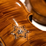 Violin that survived The Holocaust