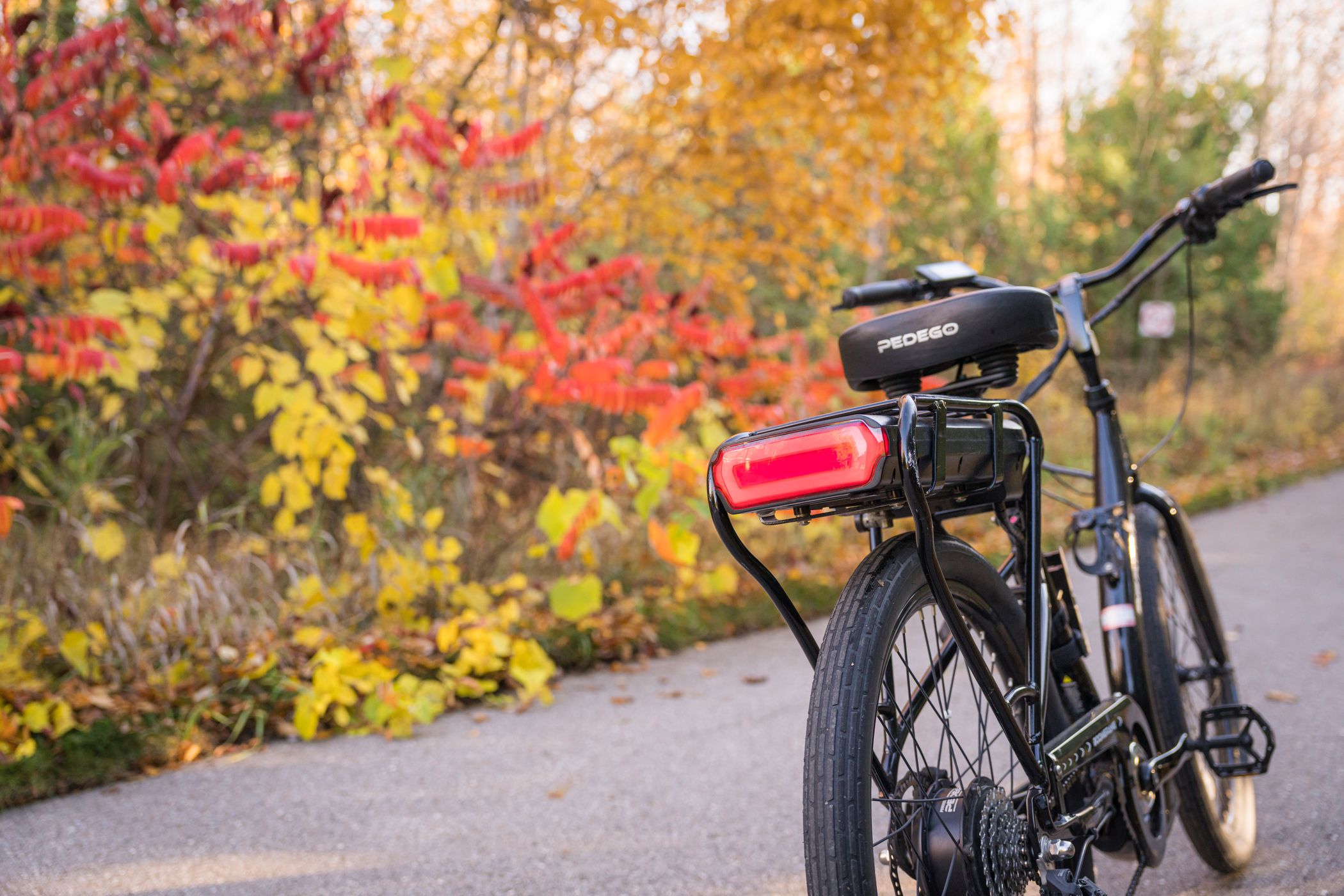 An electric bike on a pathway during the fall