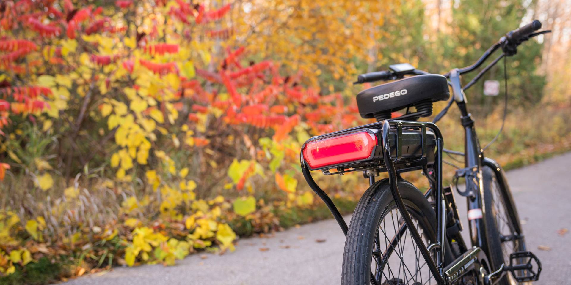 An electric bike on a pathway during the fall