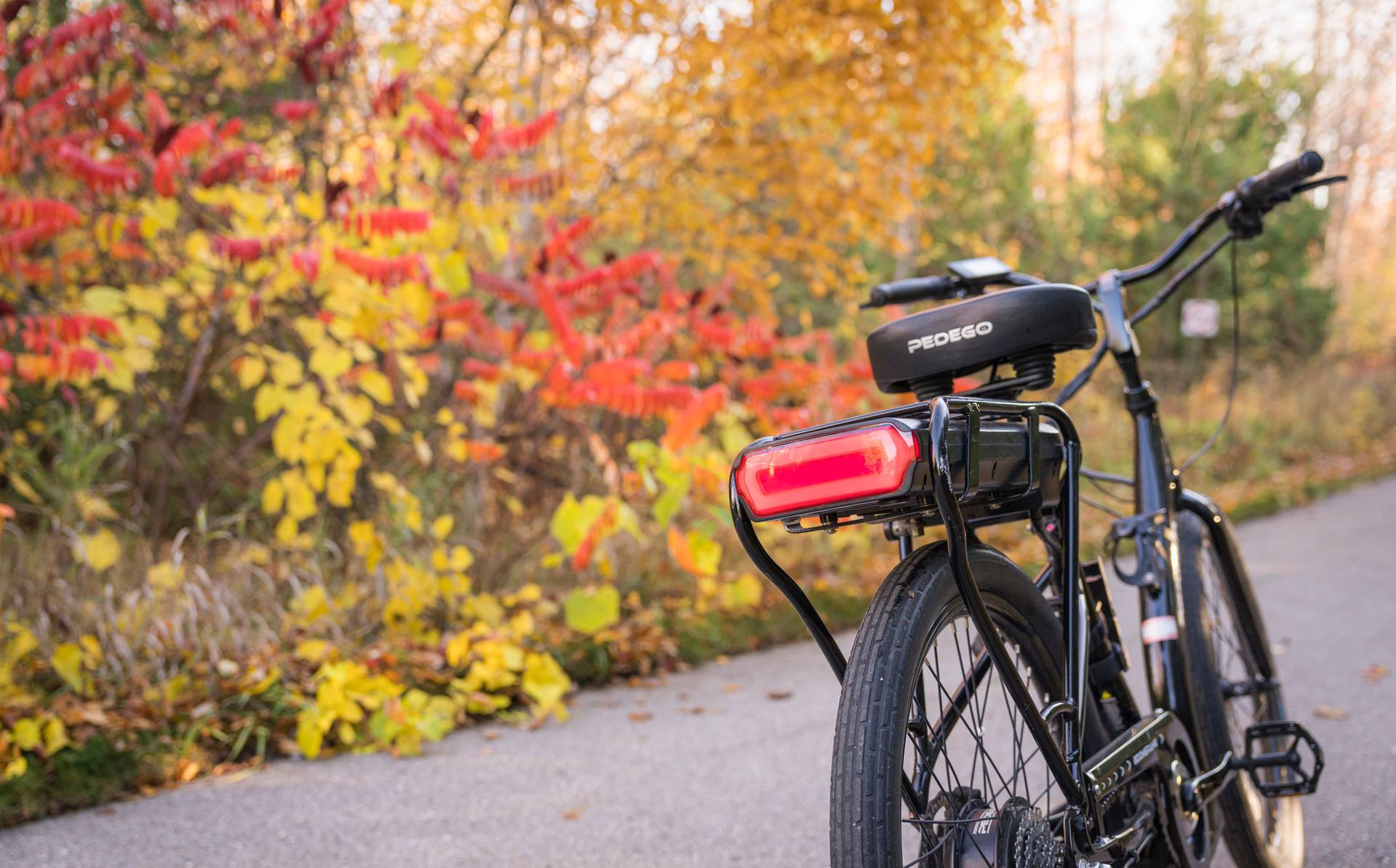 An electric bike on a pathway during the fall