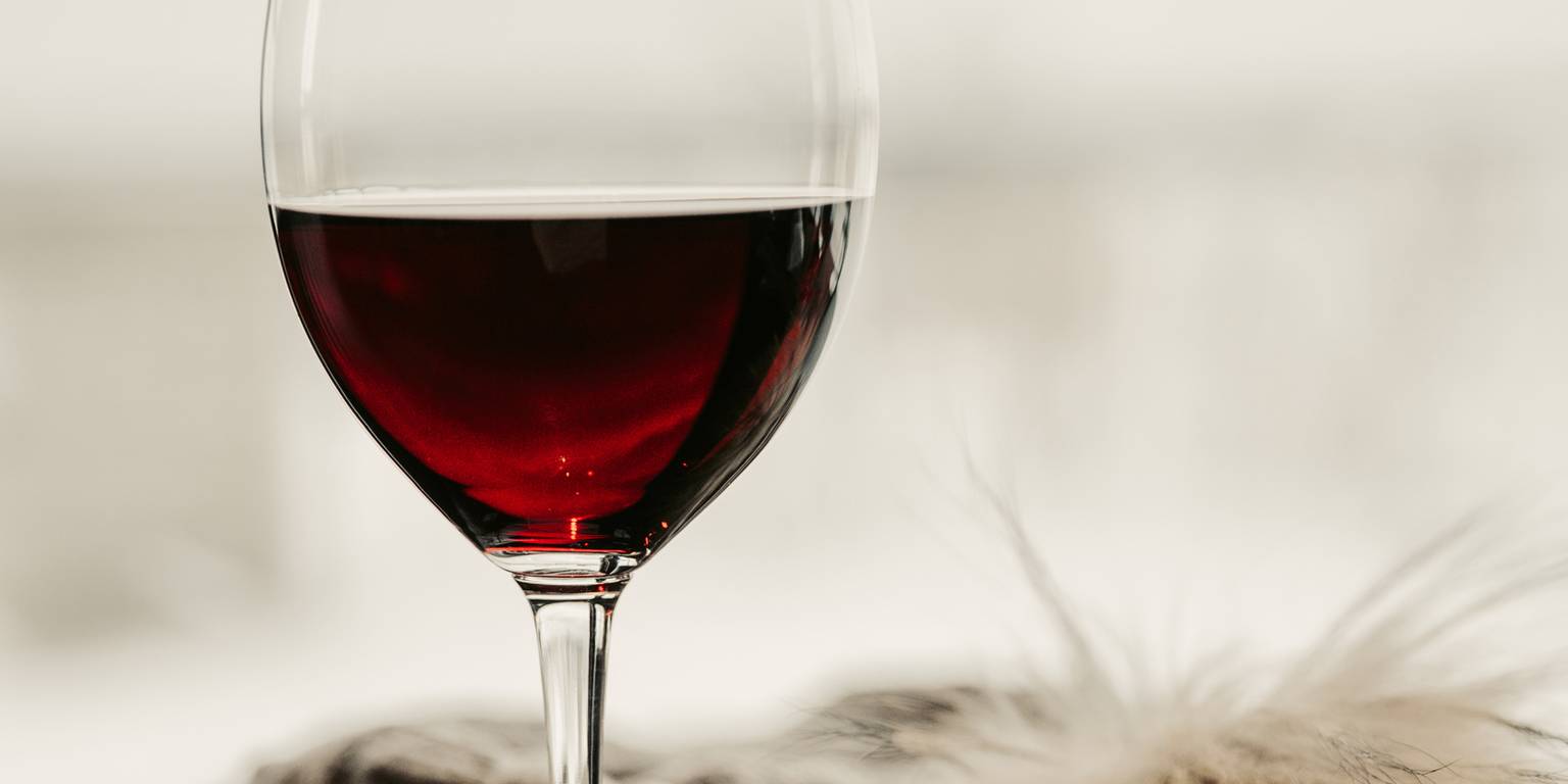 Red wine, winter hat, Vintage Chophouse | Wine Bar