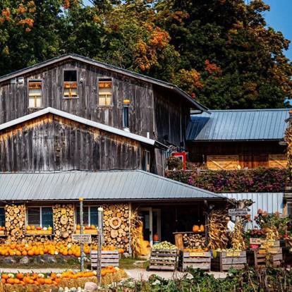 Pond Hill Farm in autumn, pumpkins, Harbor Springs, MI