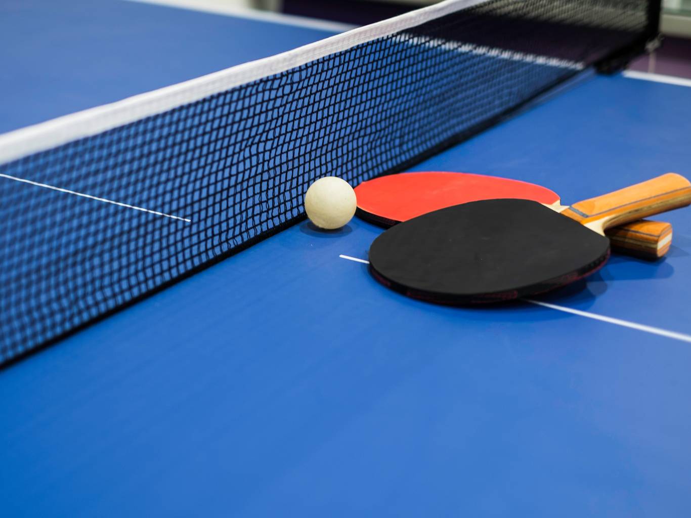 Table tennis paddles, blue table