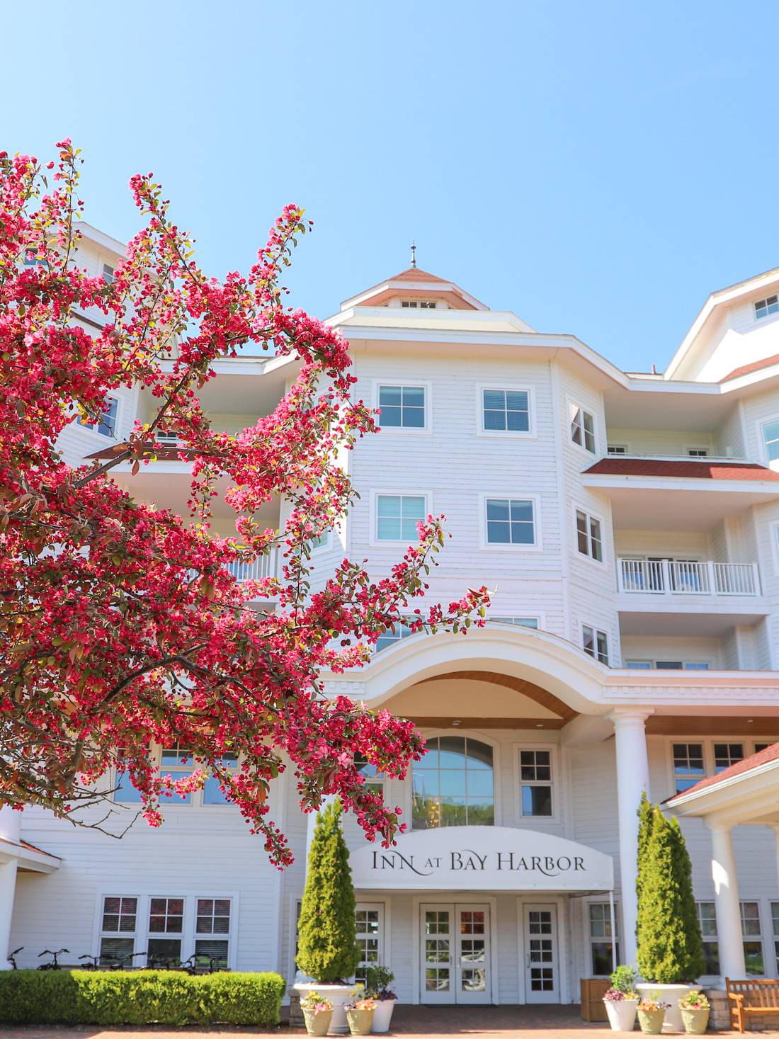 Pink spring blossoming trees, exterior of Inn at Bay Harbor